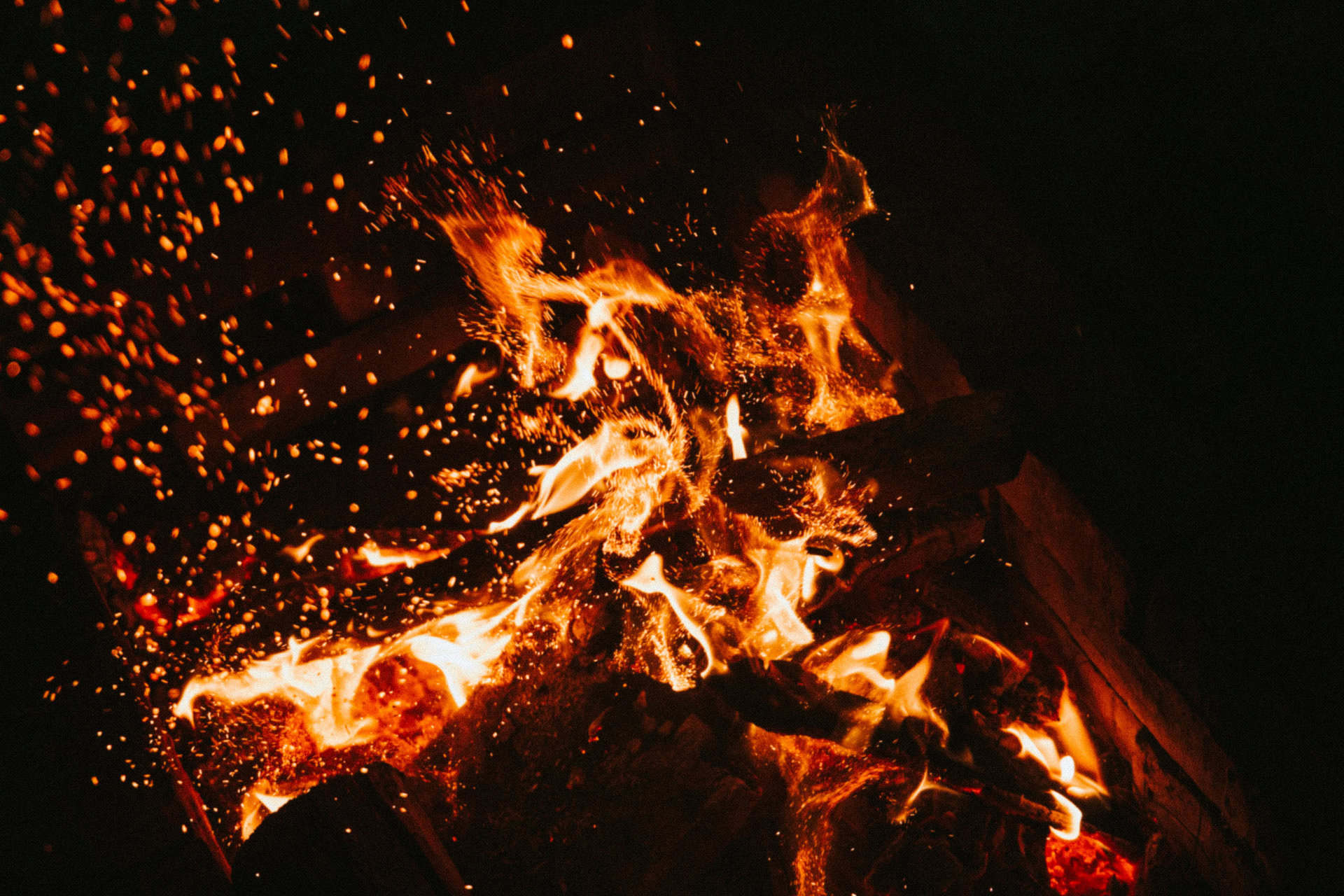 Why Tough Times Breed Great Businesses — And How You Can Thrive Today bricks and clicks marketing greensboro durham raleigh nc
